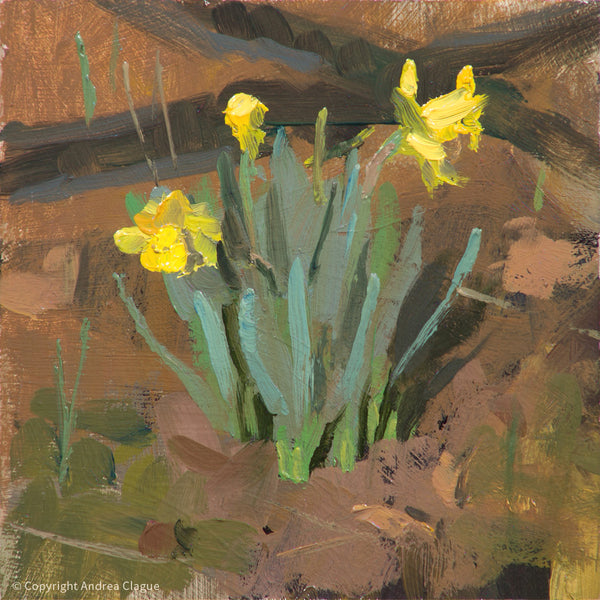 Daffodils Plein Air