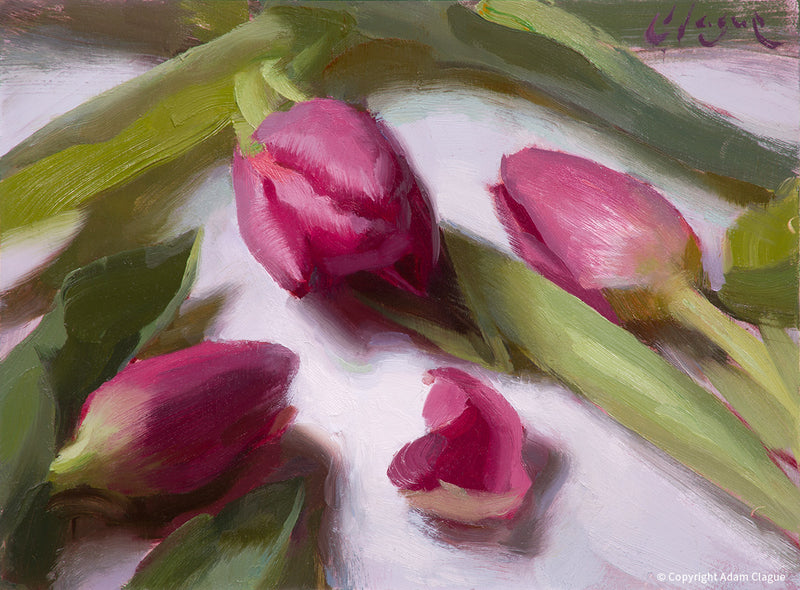 Fuchsia Tulips